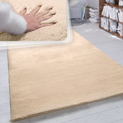 Paco Home Alfombra Pelo Largo Salón Sintética Suave Monocolor Diferentes Colores Y Tamaños 150 Cm Cuadrado, Arena Paco Home Alfombra Pelo Largo Salón Sintética Suave Monocolor Diferentes Colores Y Tamaños 150 Cm Cuadrado, Arena