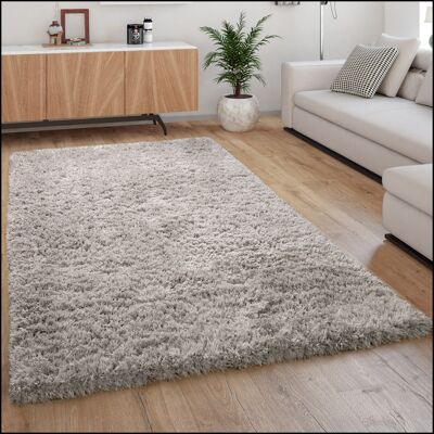 PACO HOME Milano 861 Alfombra de Pelo Largo - Alfombra PACO HOME Milano 861 Alfombra de Pelo Largo - Alfombra