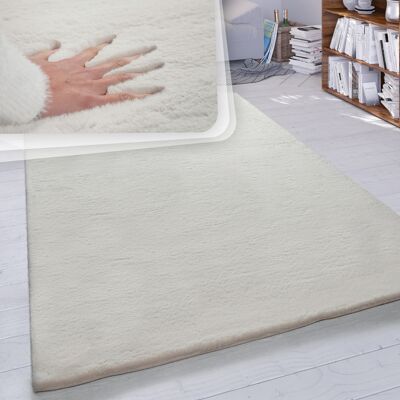 Paco Home - Alfombra Pelo Largo Salón Sintética Suave Monocolor Diferentes Colores Y Tamaños 200 Cm Cuadrado, Crema Paco Home - Alfombra Pelo Largo Salón Sintética Suave Monocolor Diferentes Colores Y Tamaños 200 Cm Cuadrado, Crema