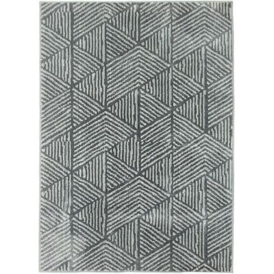 JHY DESIGN Alfombra Moderna Para Salón, Lavable, 150 X 80 Cm, Gris Oscuro. JHY DESIGN Alfombra Moderna Para Salón, Lavable, 150 X 80 Cm, Gris Oscuro.