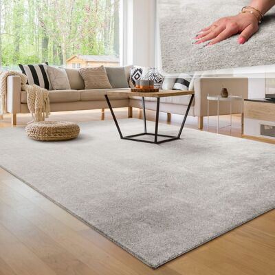 Paco Home Alfombra Moderna Para Salón A Pelo Corto Lavable Suave Uni Efecto Piel Antideslizante 200 Cm Cuadrado, Plata Paco Home Alfombra Moderna Para Salón A Pelo Corto Lavable Suave Uni Efecto Piel Antideslizante 200 Cm Cuadrado, Plata