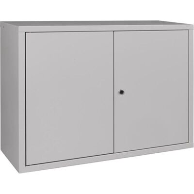 OEM Armario De Pared H600xw800xf300mm Chapa Maciza.1 Chapa De Acero Bd Gris Claro / Gris Claro OEM Armario De Pared H600xw800xf300mm Chapa Maciza.1 Chapa De Acero Bd Gris Claro / Gris Claro