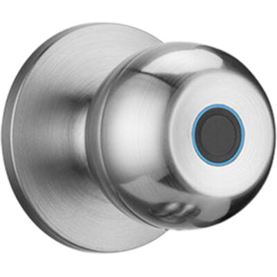 OEM Cerradura Inteligente Esférica Con Lector De Huellas Dactilares Para Apartamentos, Oficinas, Puertas De Madera Y Dormitorios (plateada) OEM Cerradura Inteligente Esférica Con Lector De Huellas Dactilares Para Apartamentos, Oficinas, Puertas De Madera Y Dormitorios (plateada)