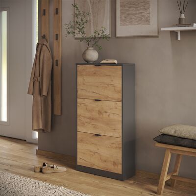 Zapatera Abatible Gizmo, Roble Dorado/antracita, 59 X 112 Cm Con 3 Compartimentos, Vicco Zapatera Abatible Gizmo, Roble Dorado/antracita, 59 X 112 Cm Con 3 Compartimentos, Vicco