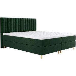 MIRJAN24 Cama Continental Comfidream Fjorina, Fresh 13, Continental, Doble, 160x200, Tapiz, Somieres, 168x210x118cm MIRJAN24 Cama Continental Comfidream Fjorina, Fresh 13, Continental, Doble, 160x200, Tapiz, Somieres, 168x210x118cm