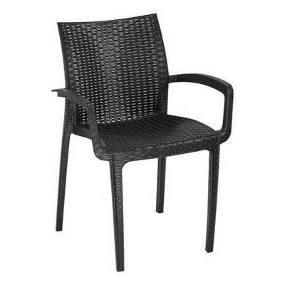 Sedia Rattan Duke + Braccioli Progarden Sedia Rattan Duke + Braccioli Progarden