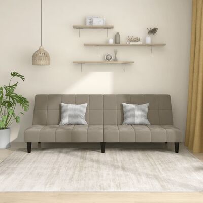 Sofá-cama de 2 plazas de terciopelo gris claro vidaXL Sofá-cama de 2 plazas de terciopelo gris claro vidaXL