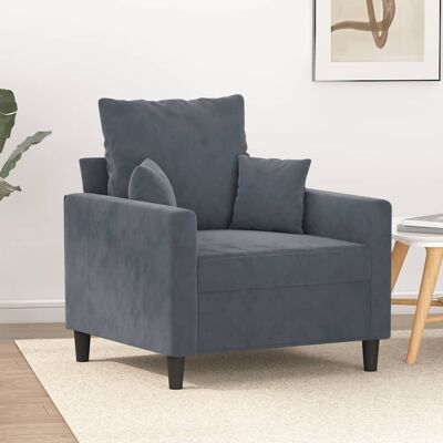 Sofá de terciopelo gris oscuro de 2 plazas vidaXL - Sofá Sofá de terciopelo gris oscuro de 2 plazas vidaXL - Sofá