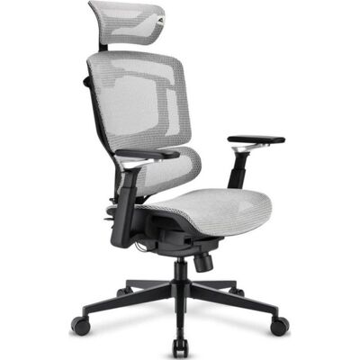 Silla De Oficina Sharkoon Officepal C50m Ergonómica Respaldo Malla Reposabrazos 5d Silla De Oficina Sharkoon Officepal C50m Ergonómica Respaldo Malla Reposabrazos 5d
