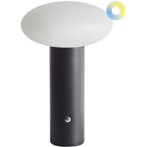 Beliani - Lámpara de mesa moderna de hierro LED inalámbrica Buayan - Lámpara de mesa Beliani - Lámpara de mesa moderna de hierro LED inalámbrica Buayan - Lámpara de mesa