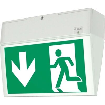 Ceag Luz de emergencia LED - IP54, 3h, Montaje en pared/techo Ceag Luz de emergencia LED - IP54, 3h, Montaje en pared/techo
