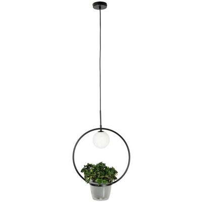 Lindby - Lámpara colgante negra de metal con G9 para salón y comedor Lindby - Lámpara colgante negra de metal con G9 para salón y comedor