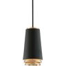 HUDSON VALLEY LIGHTING Fahrenheit Colgante 1 Luz Negro Texturado Con Hoja Dorada