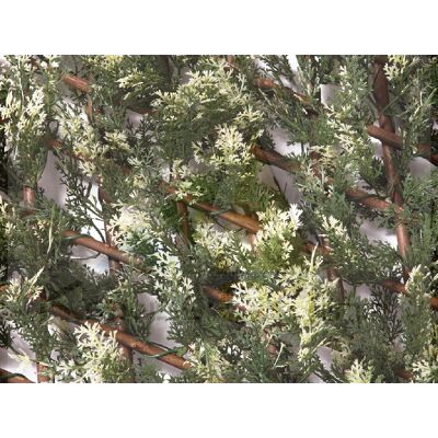 CATRAL Celosia Extensible Trelliwillow Cipres 1x1,5 M Nortene CATRAL Celosia Extensible Trelliwillow Cipres 1x1,5 M Nortene