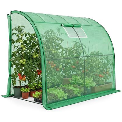 AKORD Invernadero De Jardín Adosado Con Estructura Metálica Y Cubierta De Pe 1 Puerta 1 Ventana Verde 100x200x210 Cm AKORD Invernadero De Jardín Adosado Con Estructura Metálica Y Cubierta De Pe 1 Puerta 1 Ventana Verde 100x200x210 Cm