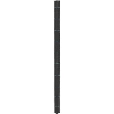 Membrana Para Malezas Pp Negra 2x200 M Vidaxl Membrana Para Malezas Pp Negra 2x200 M Vidaxl