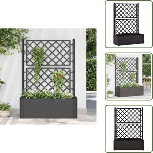 VIDAXL The Living Store Arriate Con Enrejado Y Sistema De Riego Automático Antracita - Macetero Con Sistema De Riego VIDAXL The Living Store Arriate Con Enrejado Y Sistema De Riego Automático Antracita - Macetero Con Sistema De Riego