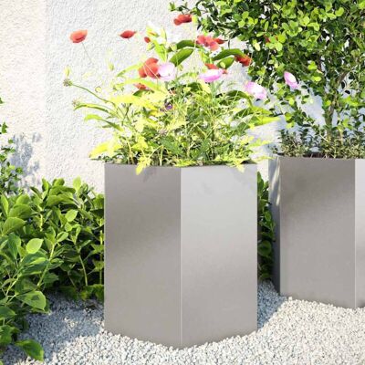 Vidaxl - Jardineras Hexagonales 2 Uds Acero Inoxidable 46x40x45 Cm Vidaxl - Jardineras Hexagonales 2 Uds Acero Inoxidable 46x40x45 Cm
