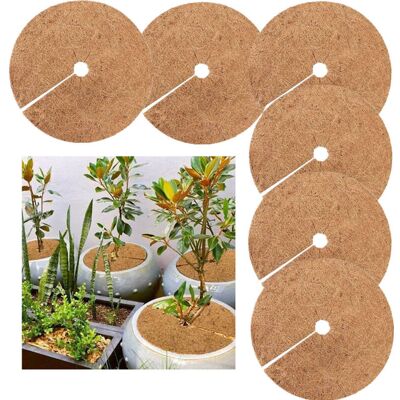 DPZO Trozos De Mantillo, Protección Invernal Para Plantas En Maceta, Estera Protectora Para Plantas, Estera De Coco Biodegradable Para Jardinería, 20 Cm DPZO Trozos De Mantillo, Protección Invernal Para Plantas En Maceta, Estera Protectora Para Plantas, Estera De Coco Biodegradable Para Jardinería, 20 Cm