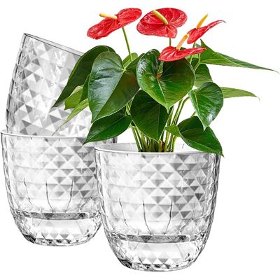 OEM Maceta Autoirrigable - 11 Cm - Pet Transparente - Para Plantas De Interior Orchidées Y Violetas Africanas - Set De 3 Unidades OEM Maceta Autoirrigable - 11 Cm - Pet Transparente - Para Plantas De Interior Orchidées Y Violetas Africanas - Set De 3 Unidades