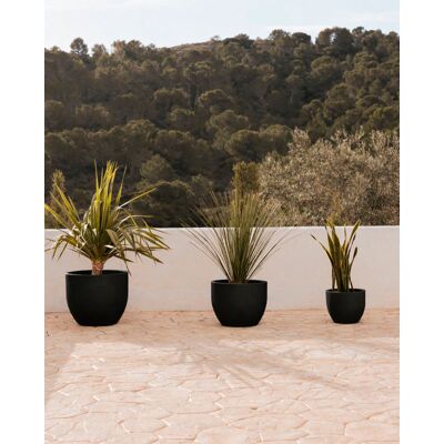 MOOVERE Azalea 50 Macetero Redondo De Interior Y Exterior Para Plantas Y Flores Muy Resistente Al Paso Del Tiempo. Hecho De Polietileno En España - Negro MOOVERE Azalea 50 Macetero Redondo De Interior Y Exterior Para Plantas Y Flores Muy Resistente Al Paso Del Tiempo. Hecho De Polietileno En España - Negro