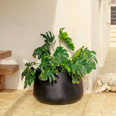 Maceta redonda Camelia 80cm - Interior y Exterior - Polietileno resistente Maceta redonda Camelia 80cm - Interior y Exterior - Polietileno resistente