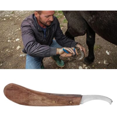 OEM Raspador De Cascos Ergonómico De Fibra De Carbono Para Caballos – Hoja Afilada, Mango De Madera, 21,8 Cm De Longitud, Modelo Para Zurdos OEM Raspador De Cascos Ergonómico De Fibra De Carbono Para Caballos – Hoja Afilada, Mango De Madera, 21,8 Cm De Longitud, Modelo Para Zurdos