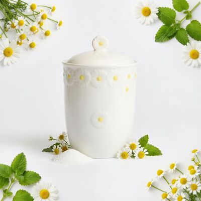 OEM Recipiente Organizador De Alimentos De Cer脕mica Para Art脥culos Sueltos L脥nea De Margaritas De 16 Cm OEM Recipiente Organizador De Alimentos De Cer脕mica Para Art脥culos Sueltos L脥nea De Margaritas De 16 Cm