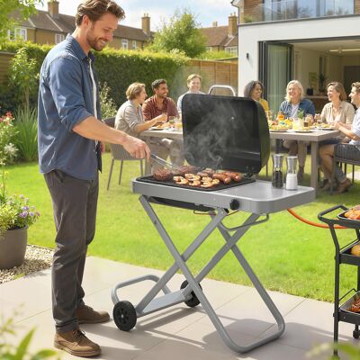 TORMATOR Barbacoa De Gas Plegable Con Quemador 2,5 Kw Tapa Termómetro Mesa Lateral Y 2 Ruedas Parrilla Recogedor Grasa Negro TORMATOR Barbacoa De Gas Plegable Con Quemador 2,5 Kw Tapa Termómetro Mesa Lateral Y 2 Ruedas Parrilla Recogedor Grasa Negro