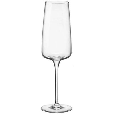 Copa de Champagne Nexo de Bormioli Rocco 24cl - Moderna, Apto para Lavavajillas, Mejora Aroma Copa de Champagne Nexo de Bormioli Rocco 24cl - Moderna, Apto para Lavavajillas, Mejora Aroma