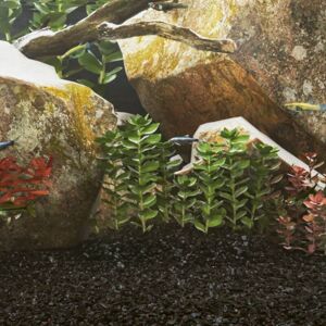 vidaXL Modelo 44665 Arena para Acuario - Negra - 25 kg - Sustrato Natural vidaXL Modelo 44665 Arena para Acuario - Negra - 25 kg - Sustrato Natural