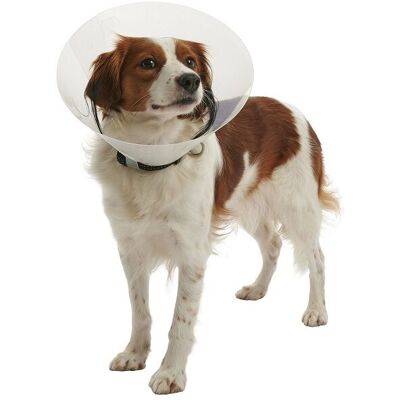 Kruuse - Collar Isabelino Transparente 10cm para perros de 3 a 5kg - Collar Kruuse - Collar Isabelino Transparente 10cm para perros de 3 a 5kg - Collar
