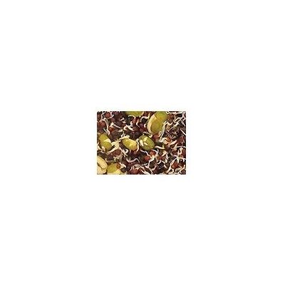 Versele-Laga Semillas de Germinación para Canarios - Mezcla de Semillas para Pájaros Versele-Laga Semillas de Germinación para Canarios - Mezcla de Semillas para Pájaros