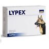 VETPLUS Lypex Complemento para el Cuidado del Páncreas en Mascotas. 60 cápsulas.