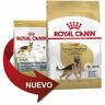 Royal Canin - Pienso german shepherd adult perros de raza Pastor Alemán adulto y maduro (a partir de los 15 meses) - 11Kg