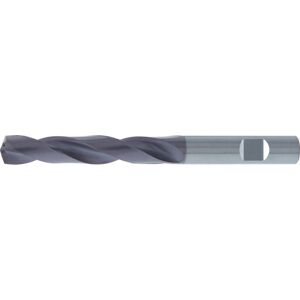 Fp - Broca Helicoidal Vhm Tialn Typ Uni Eje De Enfriamiento Hb Interna 5xd Fortis 89mm Fp - Broca Helicoidal Vhm Tialn Typ Uni Eje De Enfriamiento Hb Interna 5xd Fortis 89mm