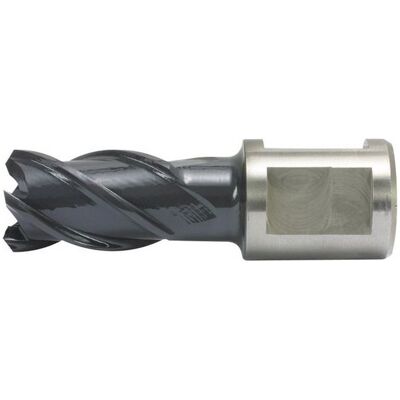 ALFRA Rqx Taladro de núcleo - Acero, Diámetro 26mm ALFRA Rqx Taladro de núcleo - Acero, Diámetro 26mm