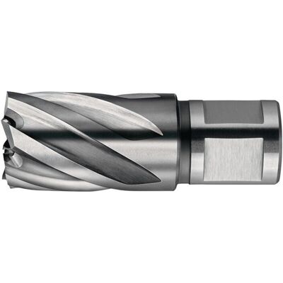 Fein - Corona De Extracción Nova 50 D. Nominal 12 Mm Weldon Fein - Corona De Extracción Nova 50 D. Nominal 12 Mm Weldon