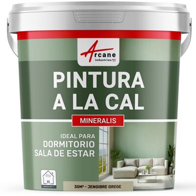 ARCANE INDUSTRIES Pintura A La Cal Para Interiores - Mineralis ARCANE INDUSTRIES Pintura A La Cal Para Interiores - Mineralis