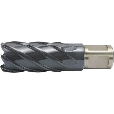 Alfra - Fresa De Timar, Acero De Corte Rápido Co, - Revestimiento Rqx, Profundidad De Corte De 50 Mm, Ø De Broca : 36 Mm Alfra - Fresa De Timar, Acero De Corte Rápido Co, - Revestimiento Rqx, Profundidad De Corte De 50 Mm, Ø De Broca : 36 Mm