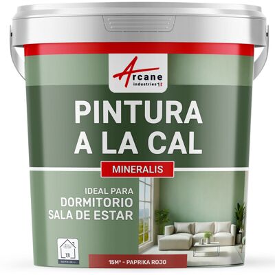 ARCANE INDUSTRIES Pintura A La Cal Para Interiores - Mineralis ARCANE INDUSTRIES Pintura A La Cal Para Interiores - Mineralis