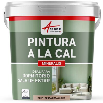 ARCANE INDUSTRIES Pintura A La Cal Para Interiores - Mineralis ARCANE INDUSTRIES Pintura A La Cal Para Interiores - Mineralis