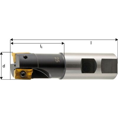 Fp - Fresa De Mango 90° - Regar Central Apkt 1604, Ø D : 32 Mm, Número De Dientes 3, Ø De Mango 32 Mm, Dimensiones L : 200 Mm, Dimensiones L1 : 60 Mm Fp - Fresa De Mango 90° - Regar Central Apkt 1604, Ø D : 32 Mm, Número De Dientes 3, Ø De Mango 32 Mm, Dimensiones L : 200 Mm, Dimensiones L1 : 60 Mm