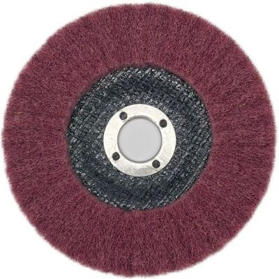 OEM Juego De 5 Discos De Pulido De Láminas De Nailon, 100 Mm X 16 Mm, Grano 320, Disco De Fibra Abrasiva, Ruedas De Pulido Para Amoladora Angular OEM Juego De 5 Discos De Pulido De Láminas De Nailon, 100 Mm X 16 Mm, Grano 320, Disco De Fibra Abrasiva, Ruedas De Pulido Para Amoladora Angular