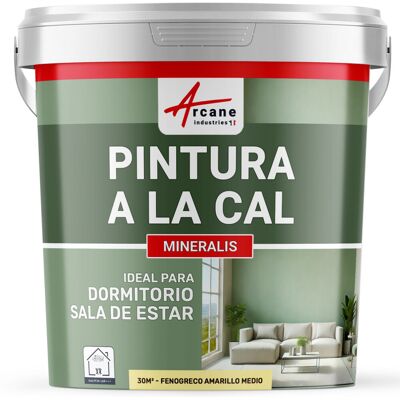 ARCANE INDUSTRIES Pintura A La Cal Para Interiores - Mineralis ARCANE INDUSTRIES Pintura A La Cal Para Interiores - Mineralis