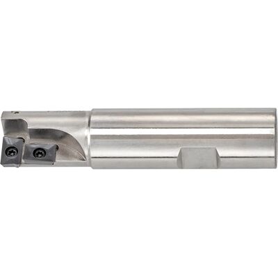 Fresa De Insercion De 20 Mm Fervi F306/20 Fresa De Insercion De 20 Mm Fervi F306/20