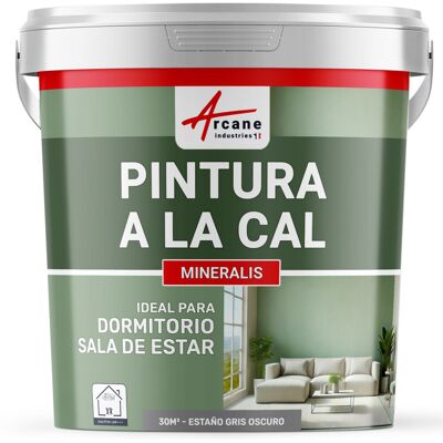 ARCANE INDUSTRIES Pintura A La Cal Para Interiores - Mineralis ARCANE INDUSTRIES Pintura A La Cal Para Interiores - Mineralis