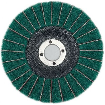OEM Juego De 5 Discos De Pulido De Láminas De Nailon, 100 Mm X 16 Mm, Grano 120, Disco De Fibra Abrasiva, Ruedas De Pulido Para Amoladora Angular OEM Juego De 5 Discos De Pulido De Láminas De Nailon, 100 Mm X 16 Mm, Grano 120, Disco De Fibra Abrasiva, Ruedas De Pulido Para Amoladora Angular