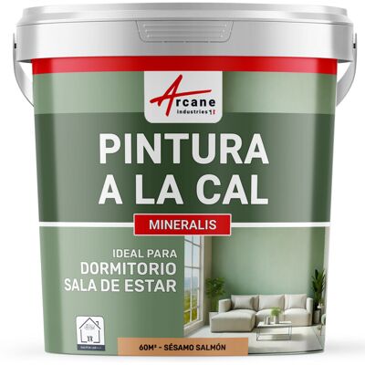 ARCANE INDUSTRIES Pintura A La Cal Para Interiores - Mineralis ARCANE INDUSTRIES Pintura A La Cal Para Interiores - Mineralis