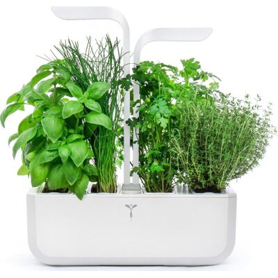 Veritable Classic - Maceta auto-riego - Blanco Veritable Classic - Maceta auto-riego - Blanco